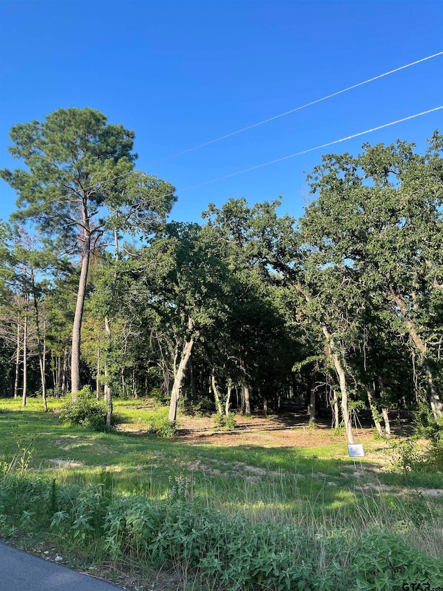 3242 Shadow Pine Dr, Larue, TX 75770