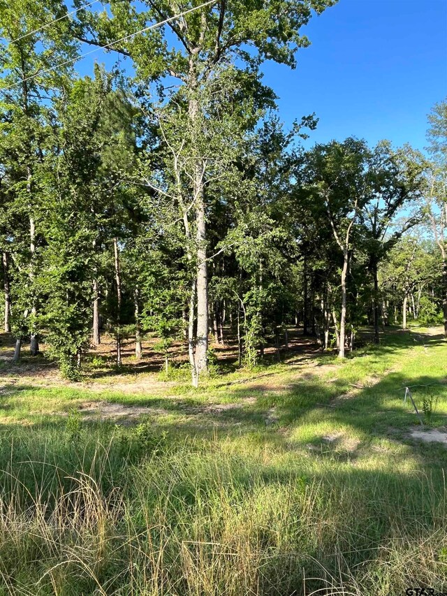 3242 Shadow Pine Dr, Larue, TX 75770