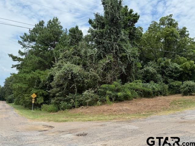 20197 Holly Hills Dr, Larue, TX 75770 - photo 1