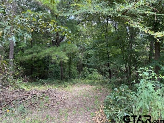 20197 Holly Hills Dr, Larue, TX 75770 - photo 2