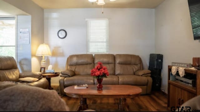 209 Kildare Rd, Linden, TX 75563 - living room with wood finished floors and a ceiling fan