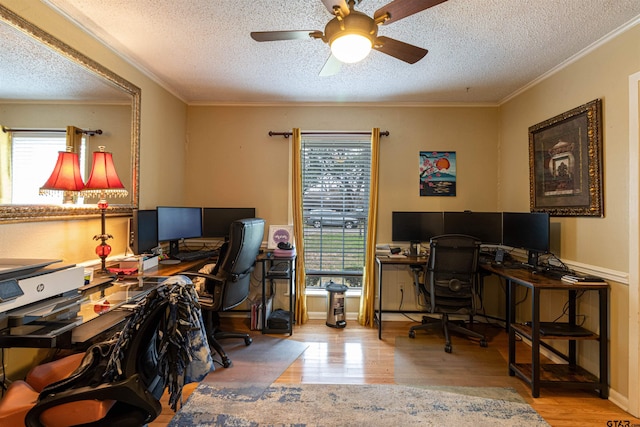 office area featuring crown molding, a textured ceiling, ceiling fan, and light hardwood / wood-style flooring