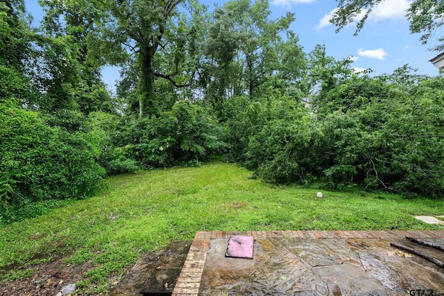 708 E Loftin St, Tyler, TX 75701 - view of green lawn with a patio area