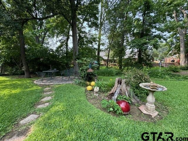 view of yard featuring a patio area