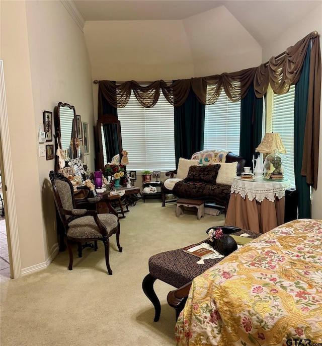 bedroom featuring carpet