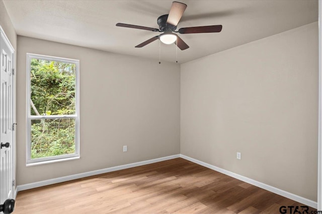 spare room featuring light wood-type flooring and ceiling fan