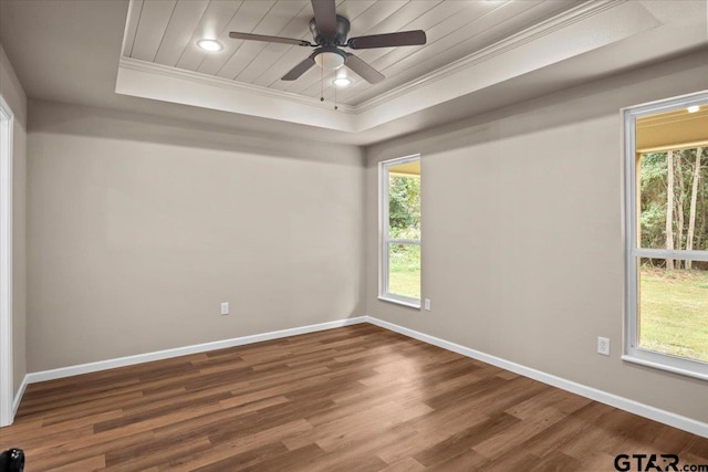 empty room with a wealth of natural light, hardwood / wood-style flooring, and a raised ceiling