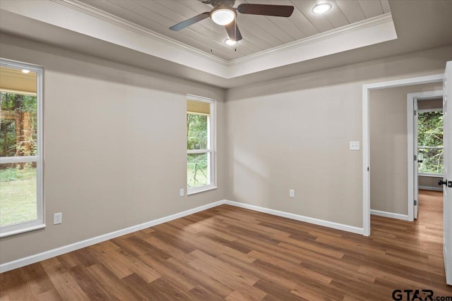 unfurnished room with a raised ceiling, hardwood / wood-style flooring, and plenty of natural light