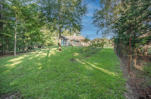 21585 Syrah Ln, Tyler, TX 75703 - view of yard