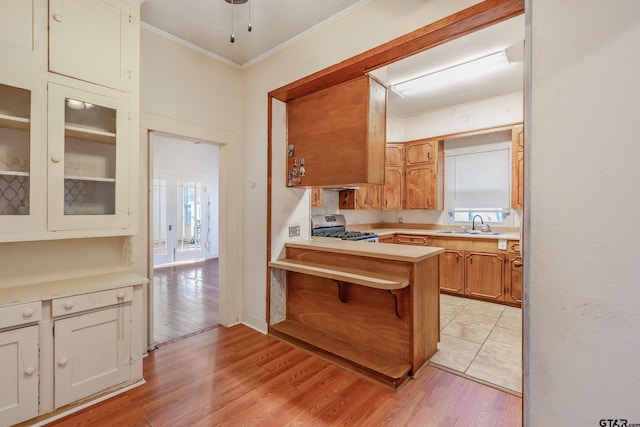 kitchen featuring crown molding, plenty of natural light, stainless steel range oven, and light wood-type flooring