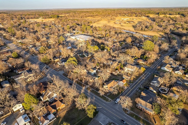 bird's eye view