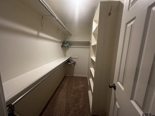 spacious closet featuring dark colored carpet