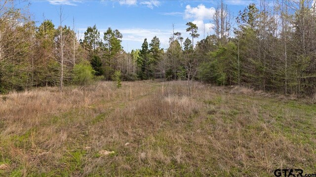 TBD County Road 3520, Hawkins, TX 75765
