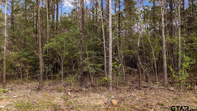 TBD County Road 3520, Hawkins, TX 75765