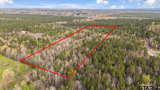 TBD County Road 3520, Hawkins, TX 75765