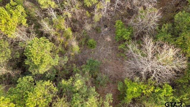 TBD County Road 3520, Hawkins, TX 75765