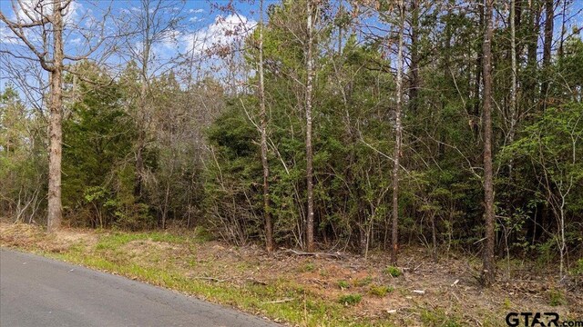 TBD County Road 3520, Hawkins, TX 75765