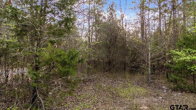 TBD County Road 3520, Hawkins, TX 75765