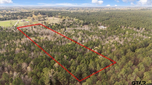TBD County Road 3520, Hawkins, TX 75765