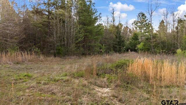 TBD County Road 3520, Hawkins, TX 75765