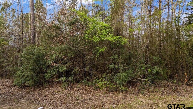 TBD County Road 3520, Hawkins, TX 75765