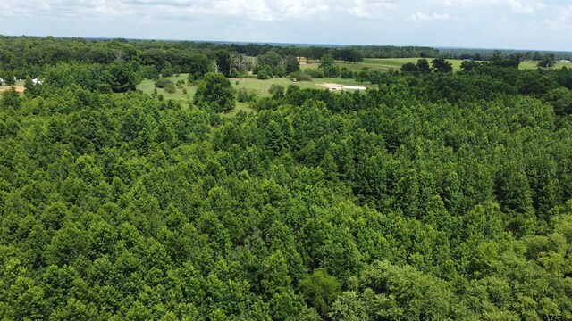 35.39ACRES County Road 1226, Quitman, TX 75783 - photo 14