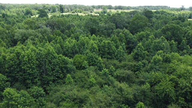 35.39ACRES County Road 1226, Quitman, TX 75783 - photo 18