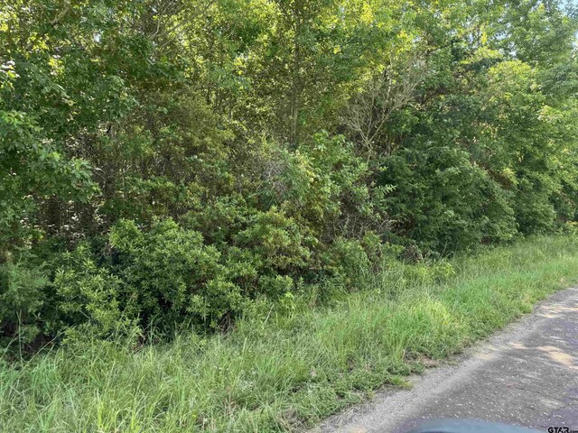 35.39ACRES County Road 1226, Quitman, TX 75783 - photo 32