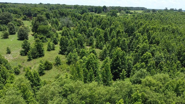 35.39ACRES County Road 1226, Quitman, TX 75783 - photo 13