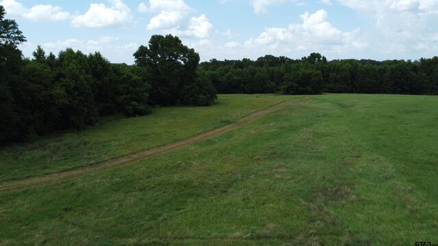 35.39ACRES County Road 1226, Quitman, TX 75783 - photo 37