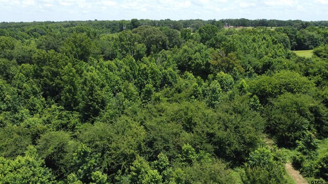 35.39ACRES County Road 1226, Quitman, TX 75783 - photo 35