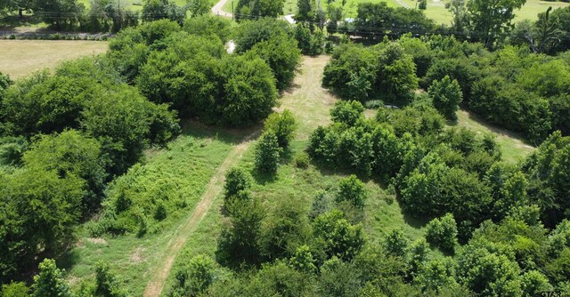35.39ACRES County Road 1226, Quitman, TX 75783 - photo 41