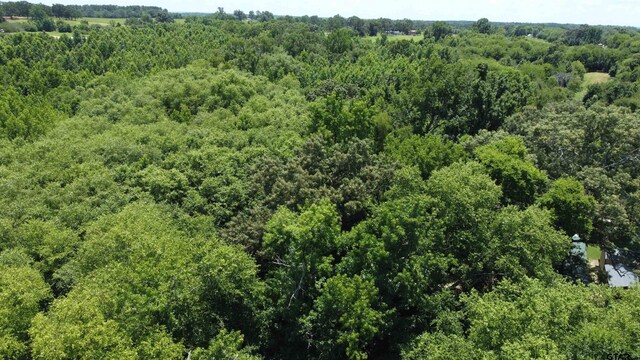 35.39ACRES County Road 1226, Quitman, TX 75783 - photo 29