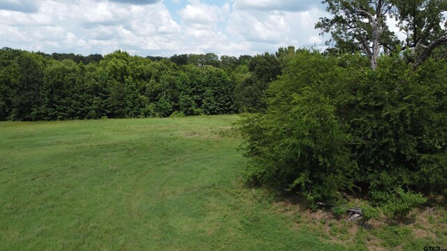 35.39ACRES County Road 1226, Quitman, TX 75783 - photo 28