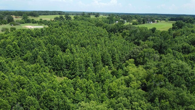 35.39ACRES County Road 1226, Quitman, TX 75783 - photo 20