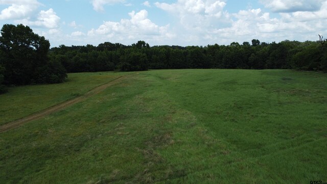 35.39ACRES County Road 1226, Quitman, TX 75783 - photo 10