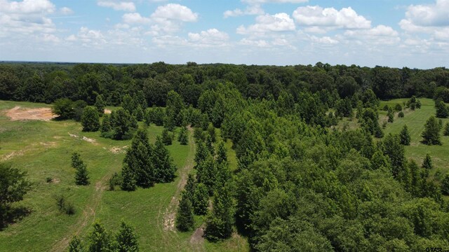 35.39ACRES County Road 1226, Quitman, TX 75783 - photo 7
