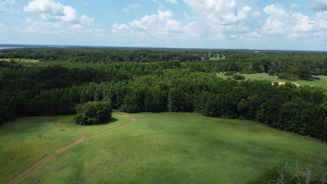35.39ACRES County Road 1226, Quitman, TX 75783 - photo 3
