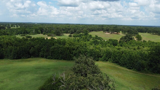35.39ACRES County Road 1226, Quitman, TX 75783 - photo 36