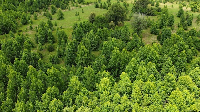 35.39ACRES County Road 1226, Quitman, TX 75783 - photo 23