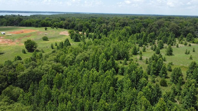 35.39ACRES County Road 1226, Quitman, TX 75783 - photo 9
