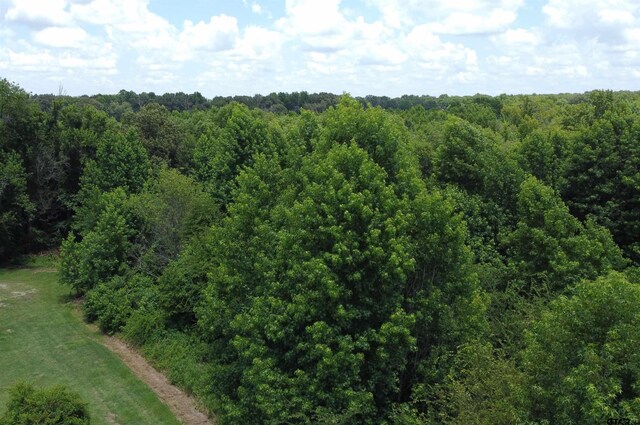 35.39ACRES County Road 1226, Quitman, TX 75783 - photo 12