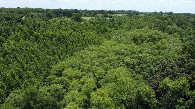 35.39ACRES County Road 1226, Quitman, TX 75783 - photo 33