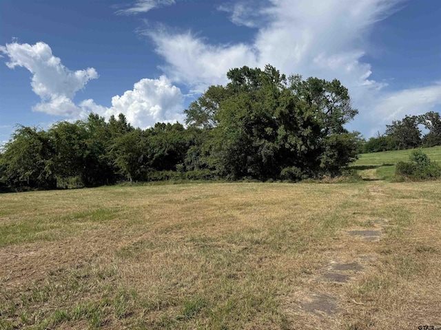 35.39ACRES County Road 1226, Quitman, TX 75783 - photo 1