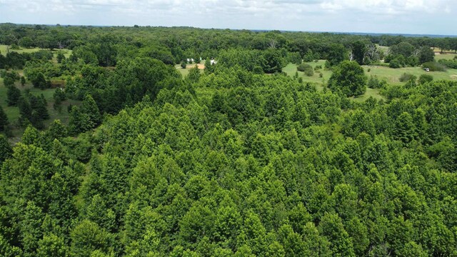 35.39ACRES County Road 1226, Quitman, TX 75783 - photo 16