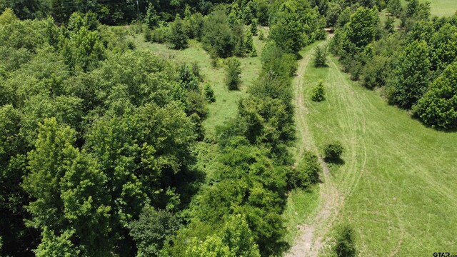 35.39ACRES County Road 1226, Quitman, TX 75783 - photo 42