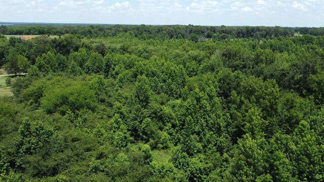 35.39ACRES County Road 1226, Quitman, TX 75783 - photo 21