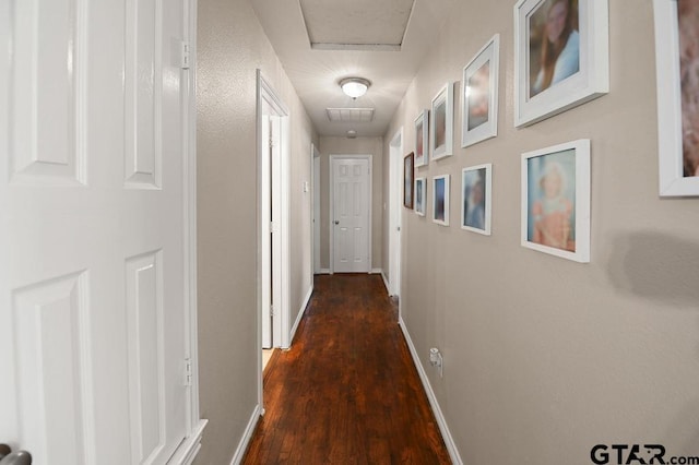 hall featuring dark wood-type flooring