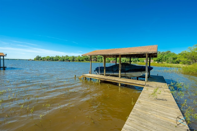 dock area with a water view