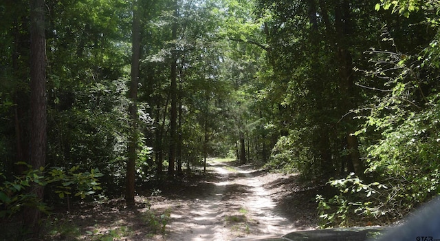 view of local wilderness